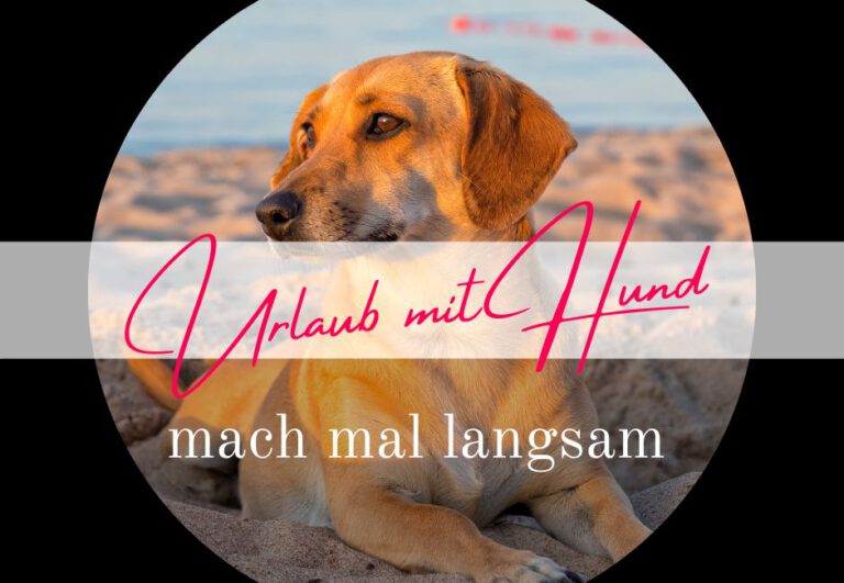 Read more about the article Urlaub mit Junghund – mach mal langsam