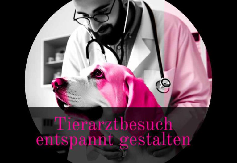 Read more about the article Tierarztbesuch entspannt gestalten