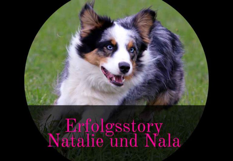 Read more about the article Erfolgsstory: Natalie mit Nala