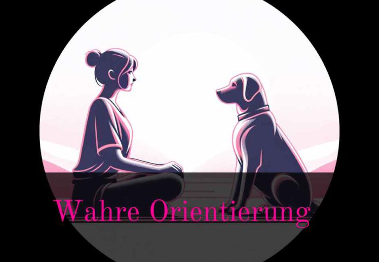 Read more about the article Wahre Orientierung