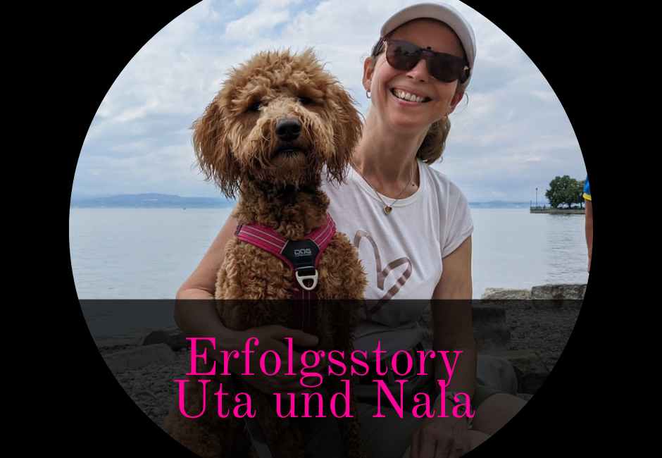Read more about the article Erfolgsstory: Uta mit Nala