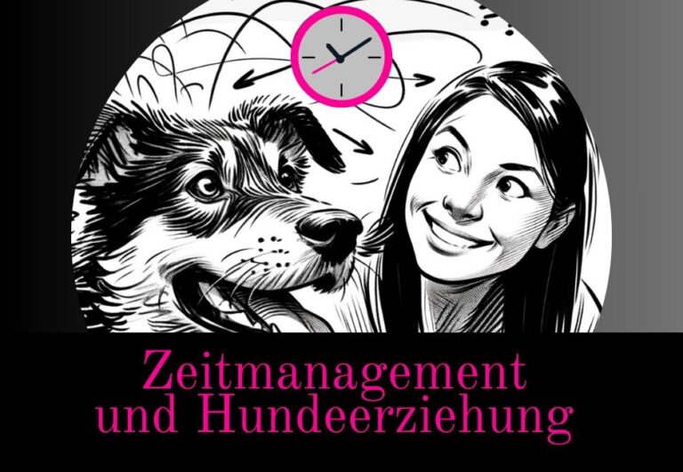 Read more about the article Zeitmanagement und Hundeerziehung
